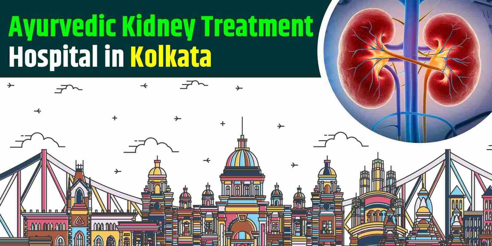 Ayurvedic Kidney Treatment Hospital in Kolkata